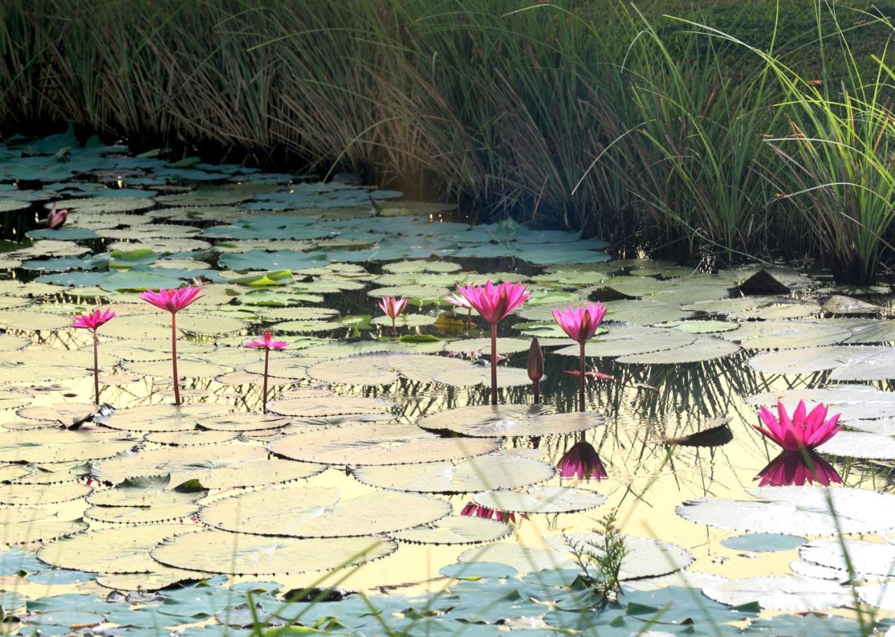 Niraamaya Wellness Retreats Backwaters And Beyond Kumarakom Bagian luar foto